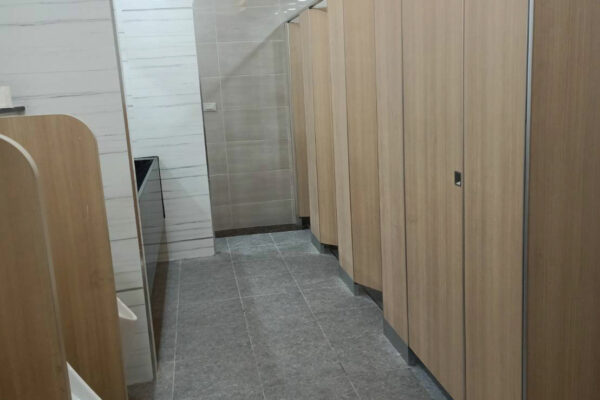 Portfolio-Project-Exedy-Toilet-Renovation-4